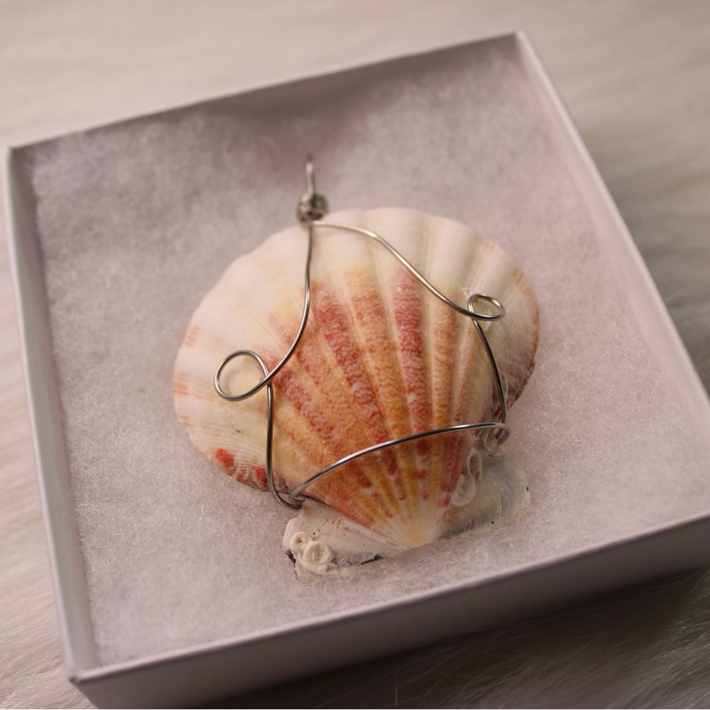 Wire Wrapped Seashell Pendants